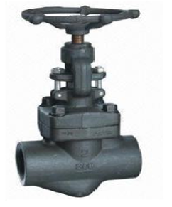 FORGED STEEL GLOBE VALVE