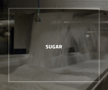 Sugar