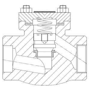 Check Valve